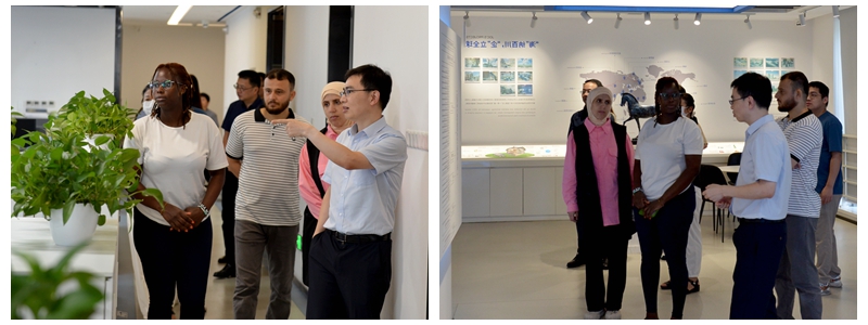 1723451780706535.jpg 1.jpg